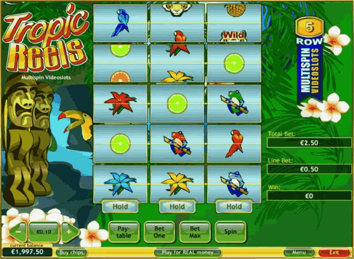 Tropic Reels mit bester Online Casino Auszahlungsquote