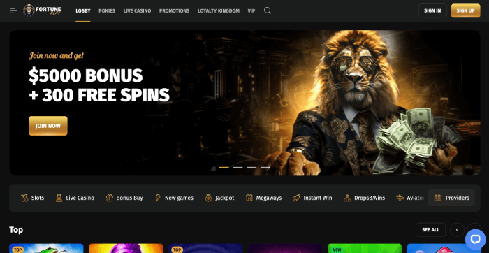 Fortune Play casino pokies