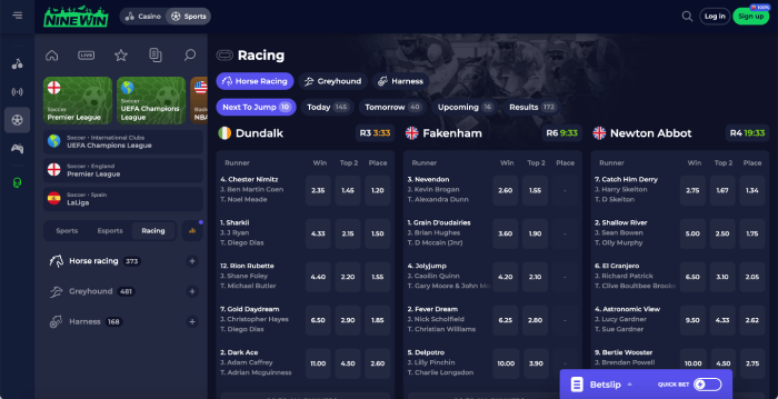 Navigate to the Horse Racing Section non GamStop UK