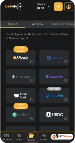 Deposit real money using BetWhale app