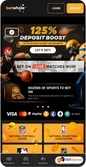 Top BetWhale casino app