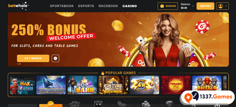 Choose a high RTP casino