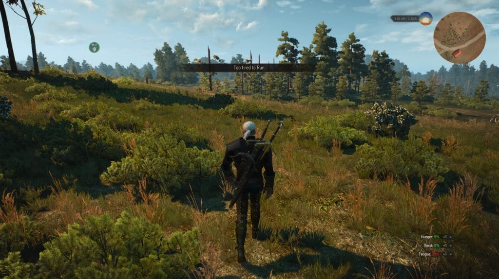 The Witcher 3: Wild Hunt